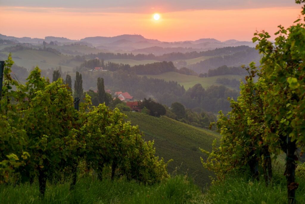 Christian Reiterer Weingut